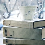 books in snow